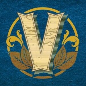 A blue and yellow logo with the letter v in it.